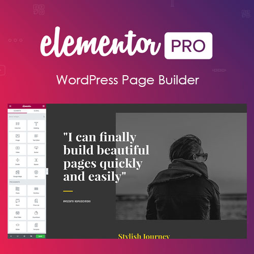Elementor PRO WordPress Page Builder + Pro Templates version: 3.25.0