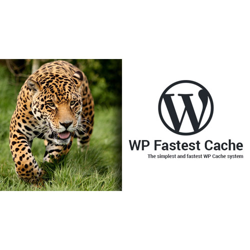 WP Fastest Cache WordPress Plugin – Premium version: 1.7.1